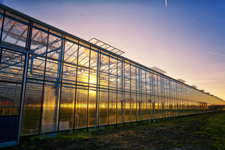 modern greenhouse